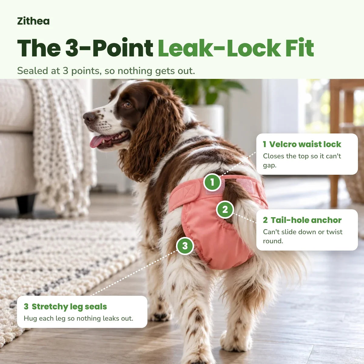 The 3-Point Leak-Lock Fit: velcro waist lock, tail-hole anchor and stretchy leg seals